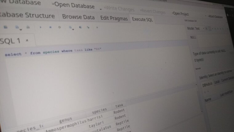 Screenshot einer SQL-Anwendung